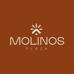Hotel Molinos Plaza