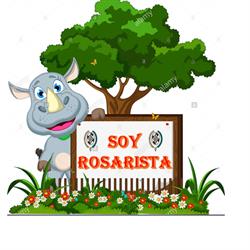 Colegio Nuestra Señora del Rosario Sede Secundaria