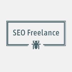 Consultor SEO Freelance - Barranquilla