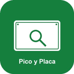 Consulta Pico y Placa