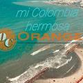 Lucia Orange