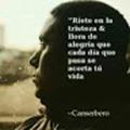 Opiniones