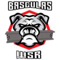 BASCULAS WSR SAS